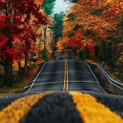 ag真人国际官网截图