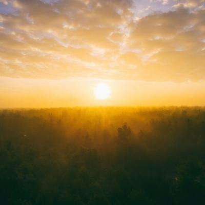 ag真人国际官网截图