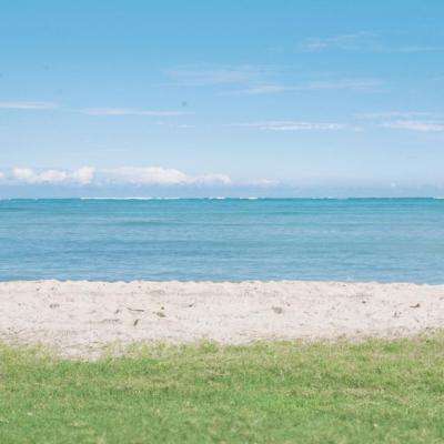 bsport体育在线登录下载手机版